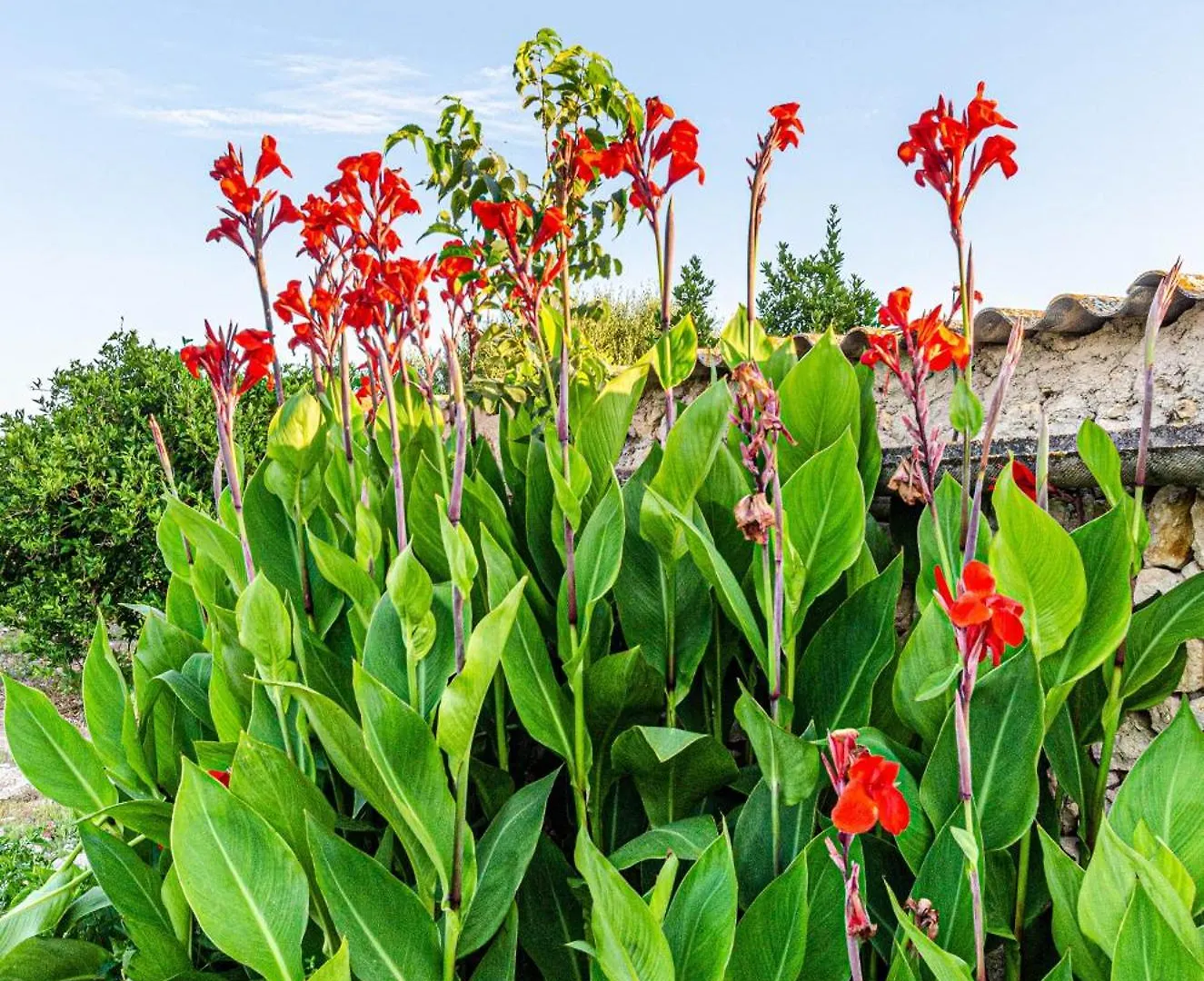 Alloggio per agriturismo Finca Es Rafal, Agroturisme Montuiri